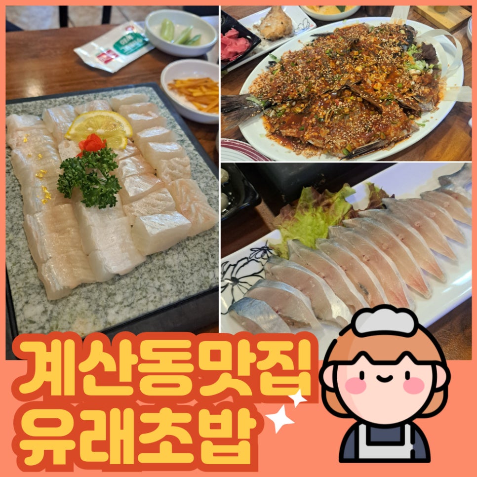 도미초밥 이미지