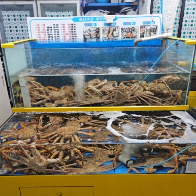 해남회포차 이미지
