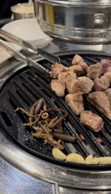 제주생두껍돈 이미지