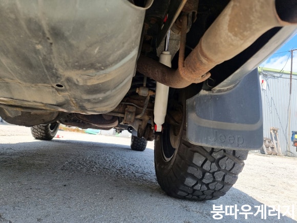 붕따우게러지 이미지