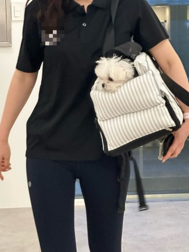 마이요거트립수성점 이미지