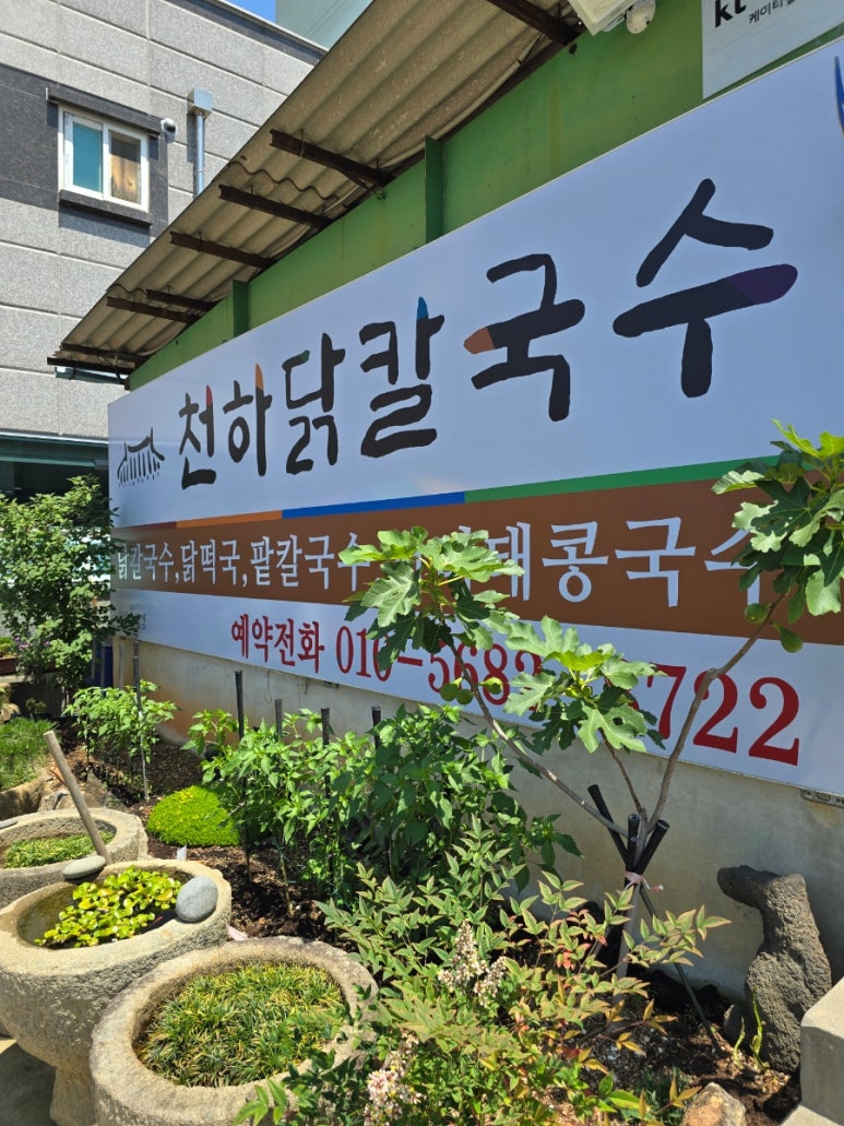 천하닭칼국수 이미지