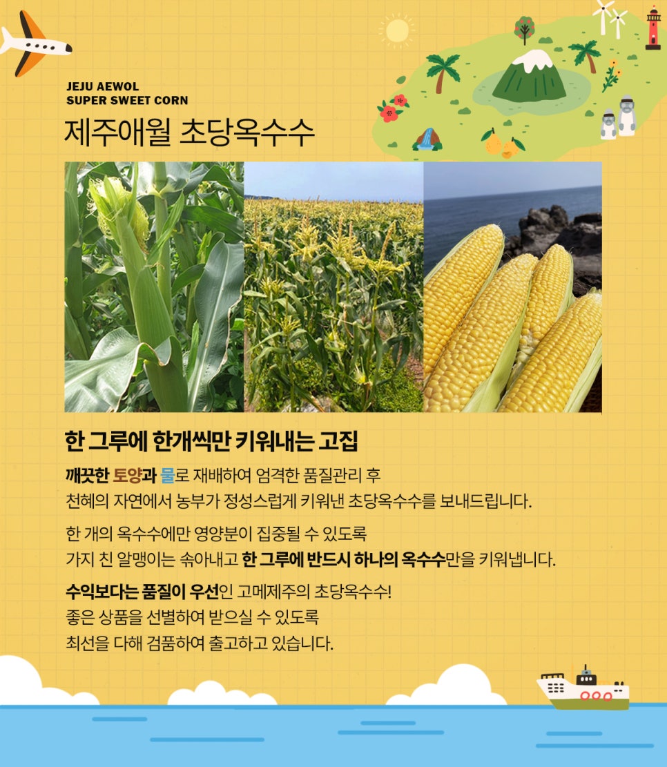 지금애월 이미지