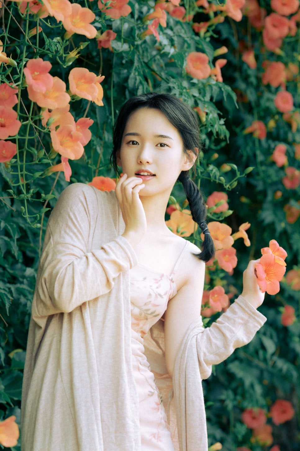 멀리건 이미지