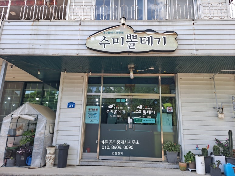 수미뽈테기 이미지