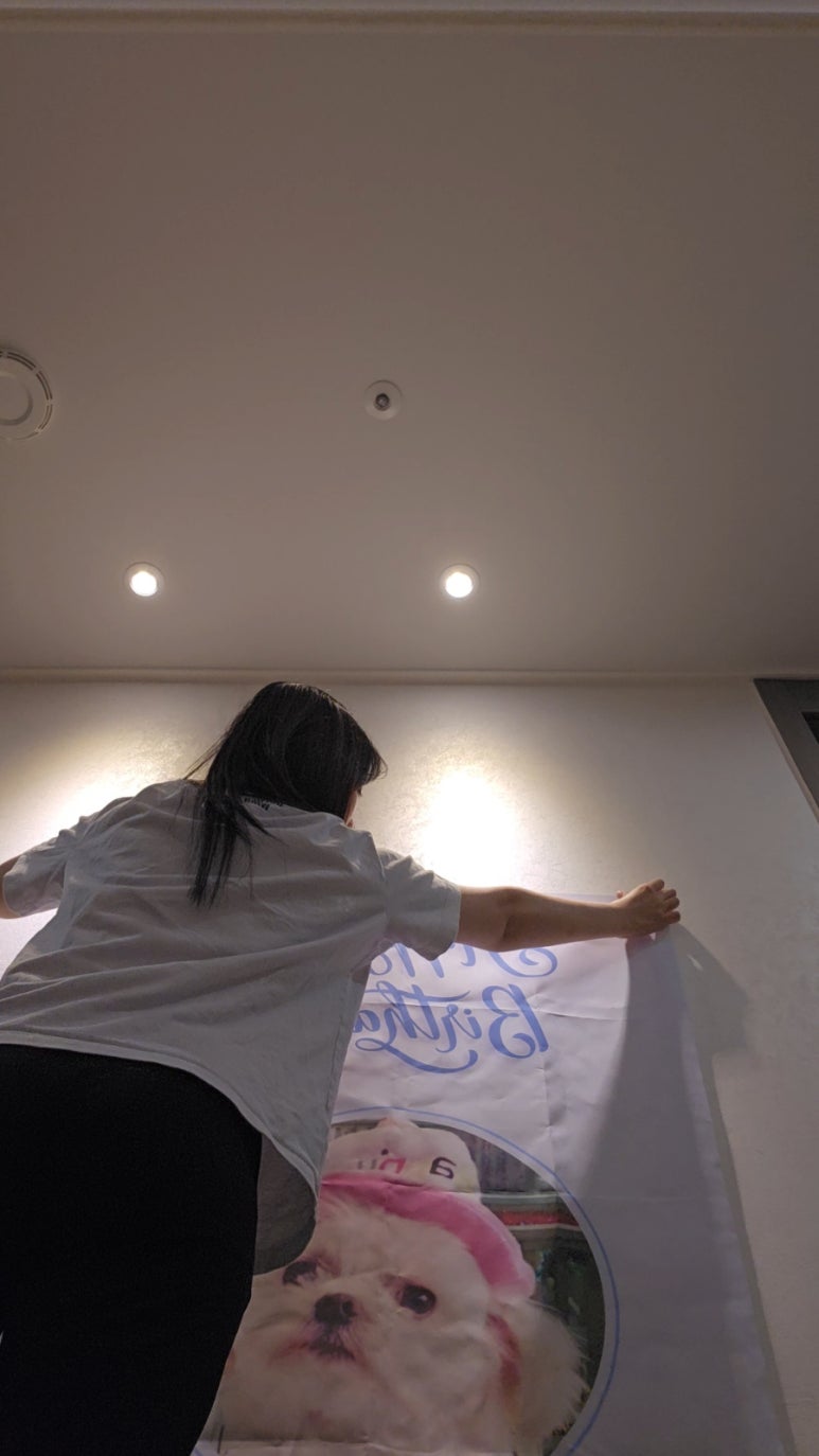 팩토리세인 이미지