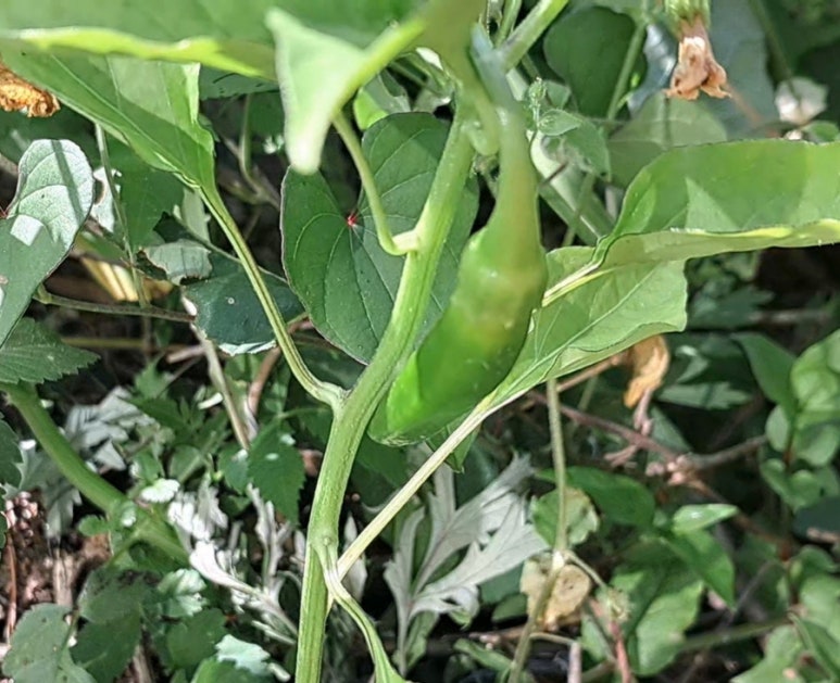 산골마트 이미지