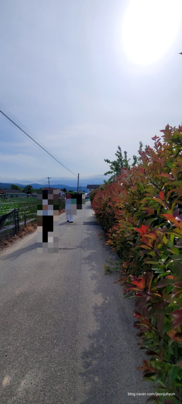 스테이아슬라 이미지