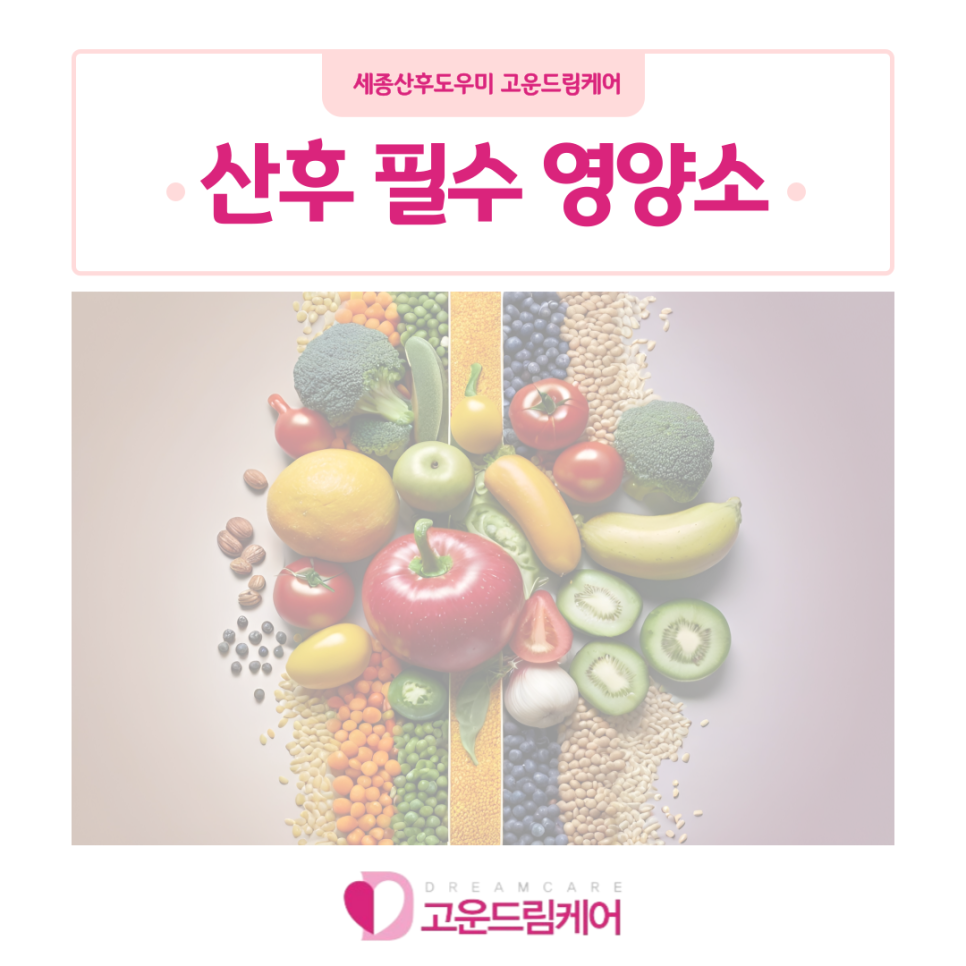 고운드림케어 이미지