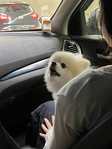 펜션WON 이미지