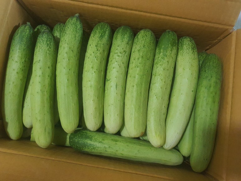 오이도화장품 이미지