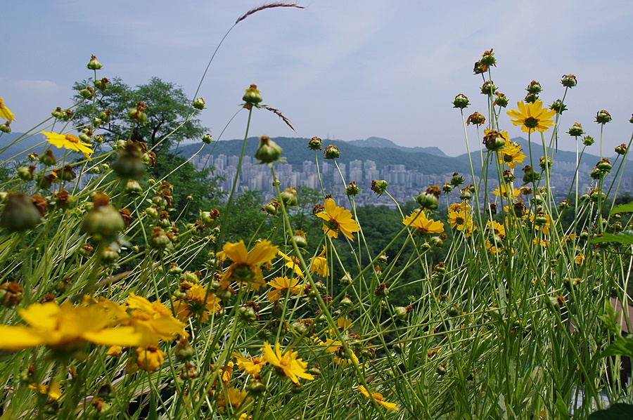 증산배수지 이미지