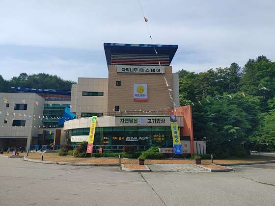 라이프위드도그 이미지