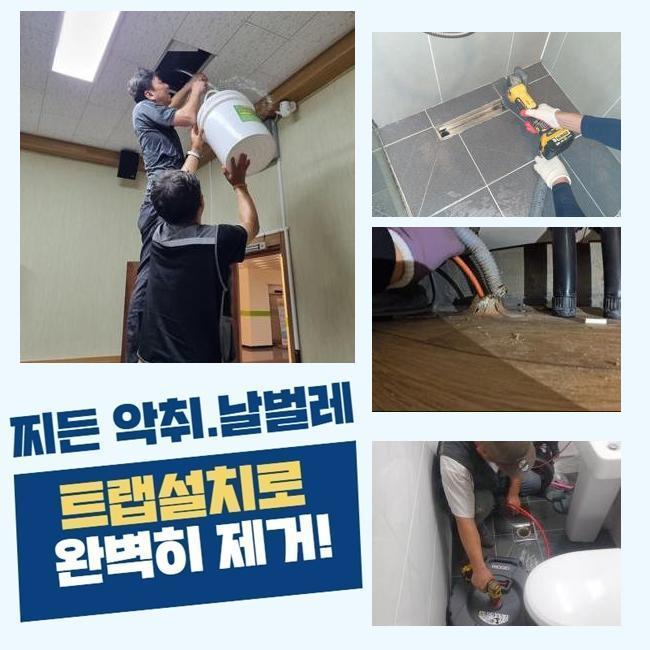 금동설비 이미지