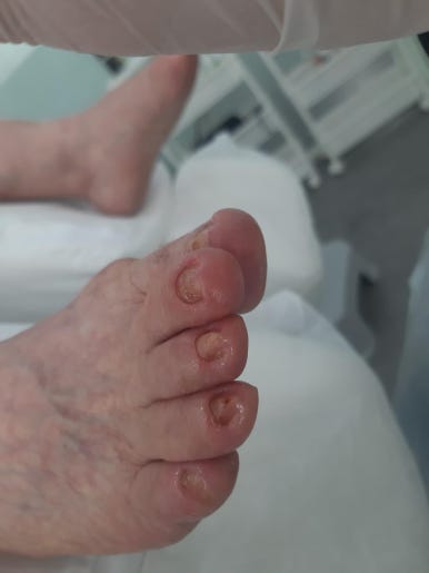 레푸스앤두두뷰티 이미지