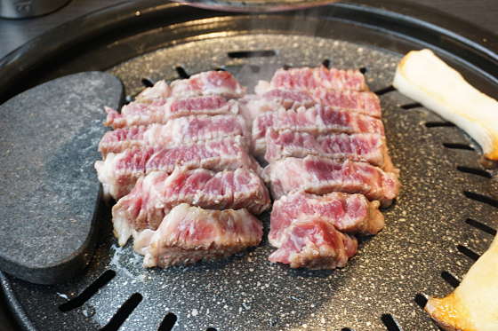 고기숲 이미지