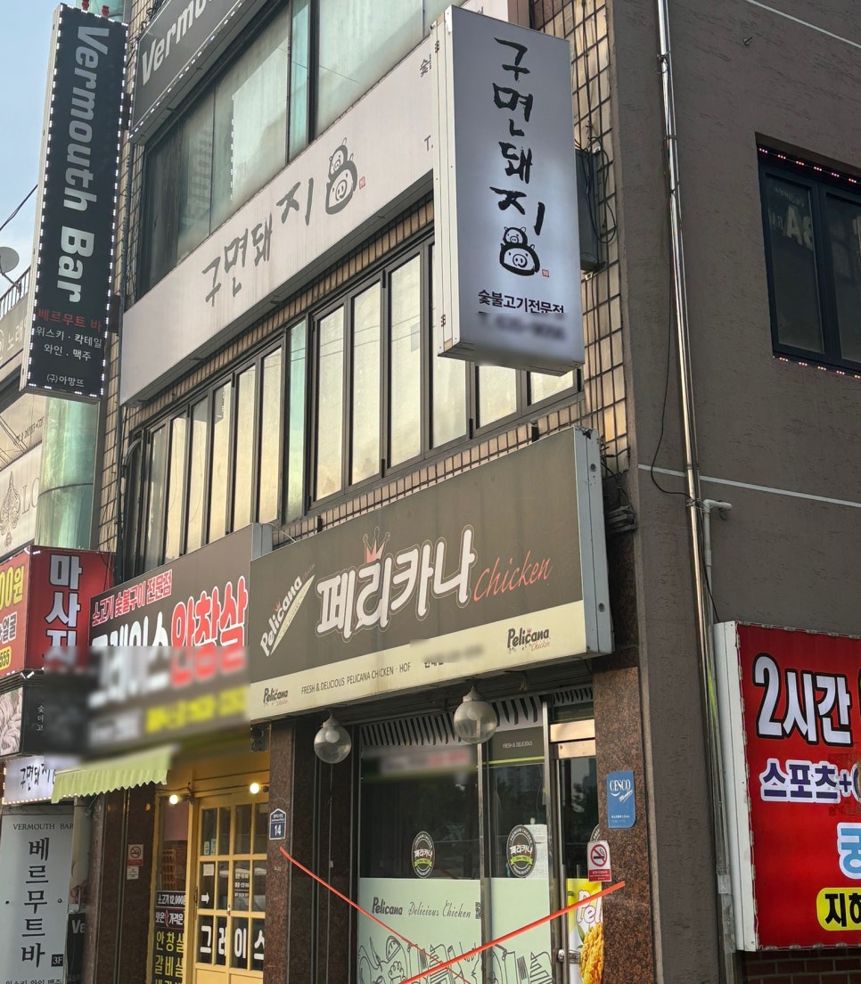 구면돼지 이미지