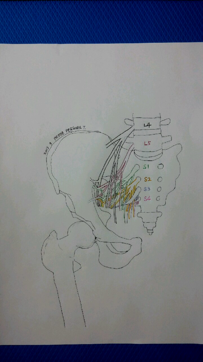 피티센터 이미지