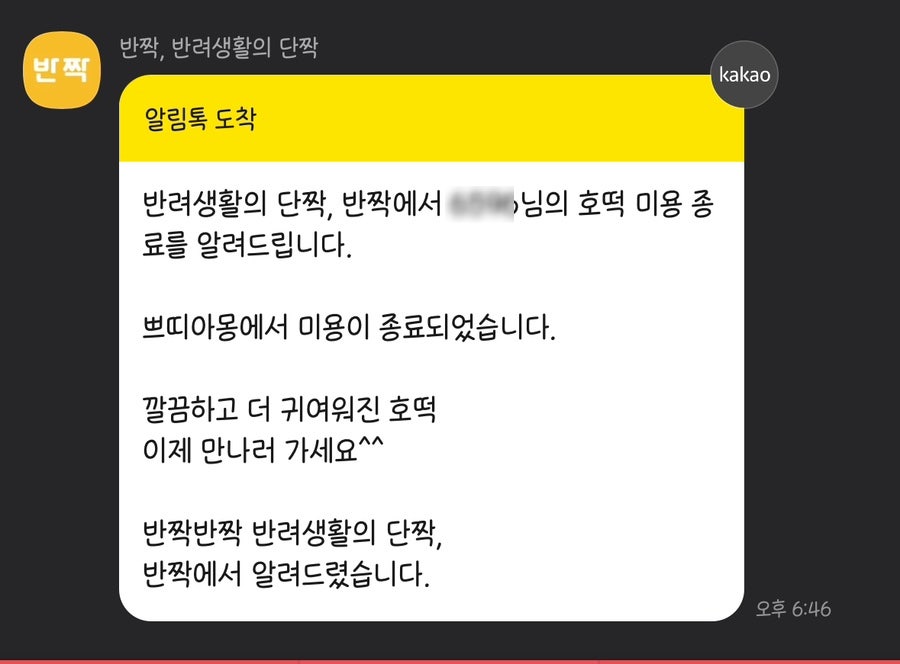 쁘띠아 이미지