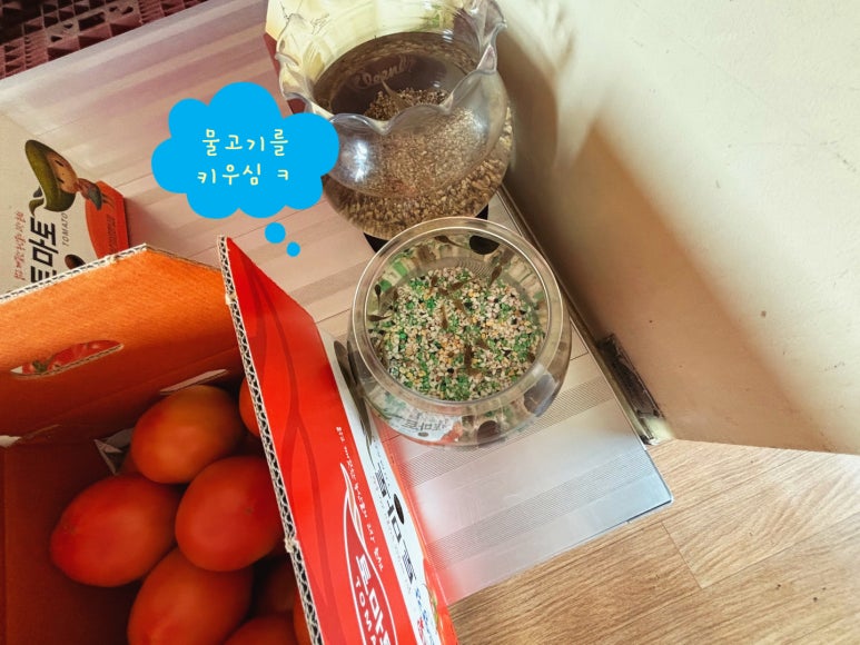 혜림이네농장 이미지