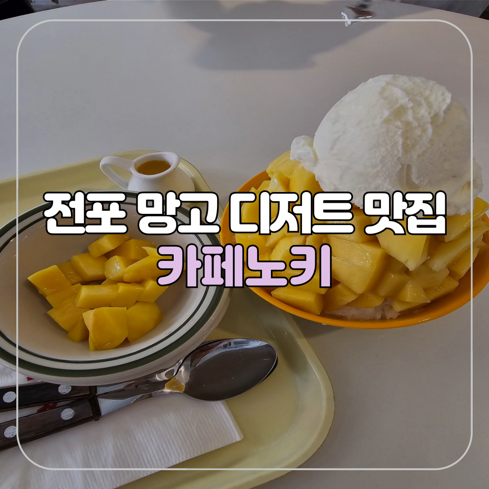 카페노키 이미지