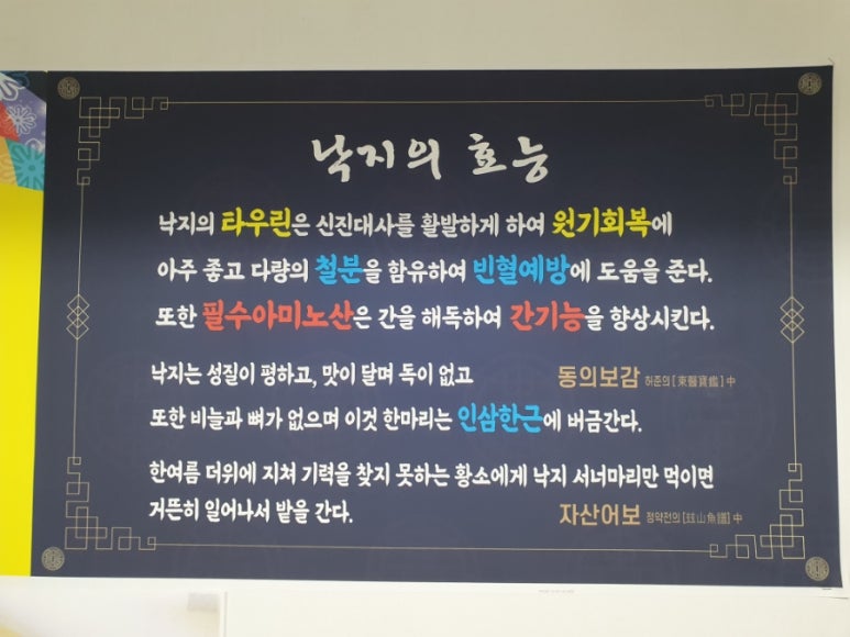 낙지야낙지야 이미지