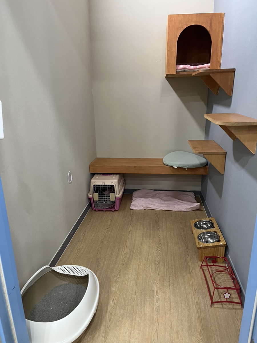 동탄 고양이 호텔 코자냥, 안심 맡김 후기 — 사진 7