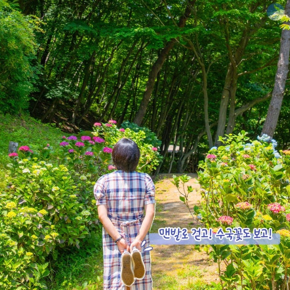 구례수목원 유아숲체험원 이미지