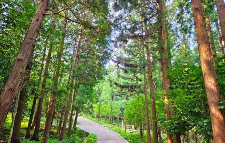 장흥군 청소년수련원 이미지