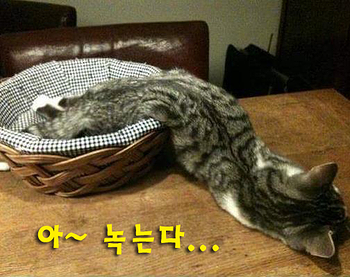 (주)제이오 이미지