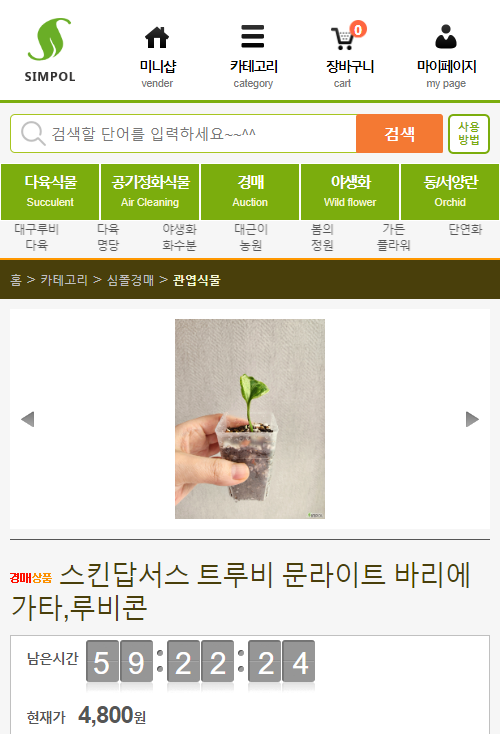 묘한정원 이미지