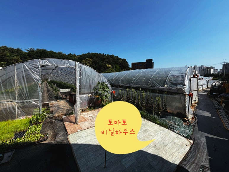혜림이네농장 이미지