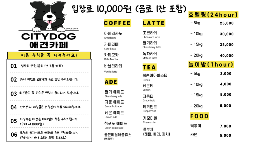 시티독 이미지