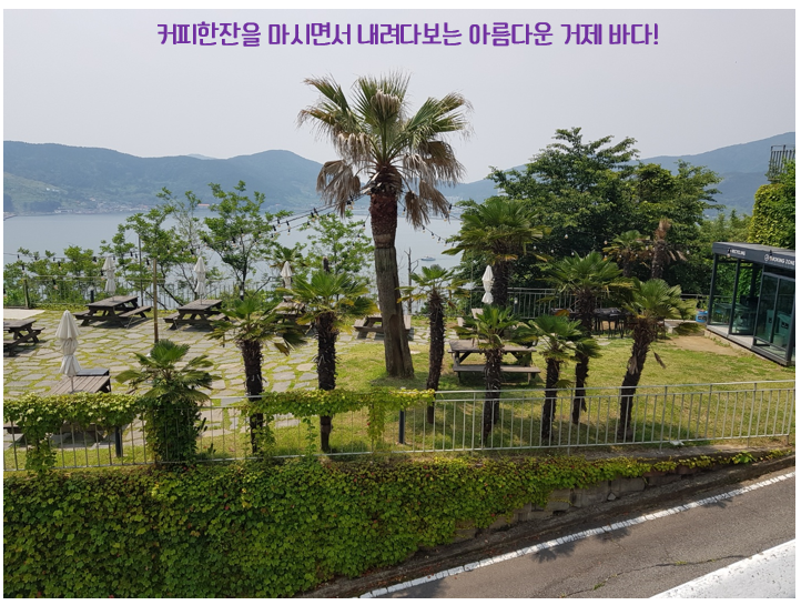 거제도애광원 이미지