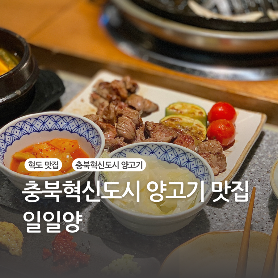 일일양충북 이미지