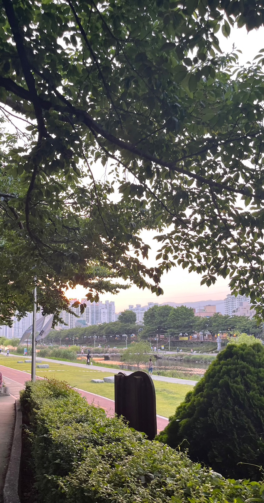 비스트로 타마르 이미지