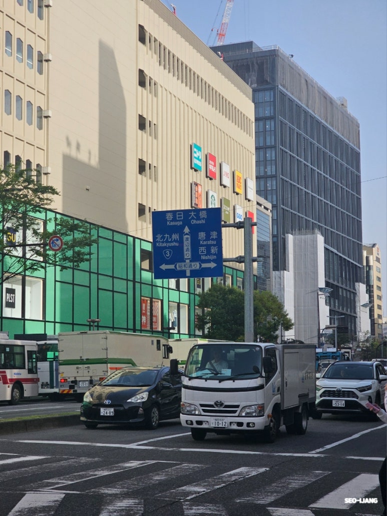 피노미나 이미지
