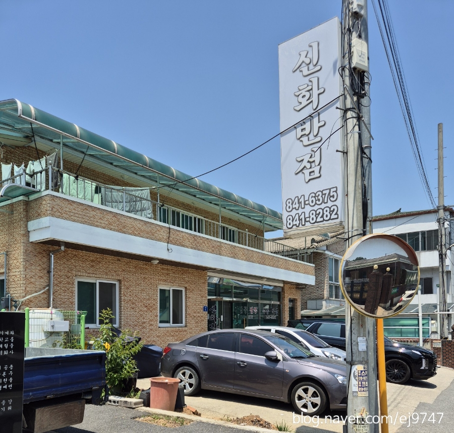신화반점 이미지