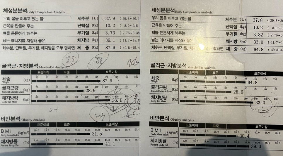 바디에이프PT 이미지