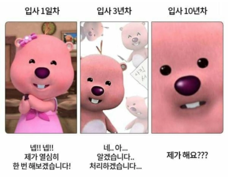 스테이하시니 이미지