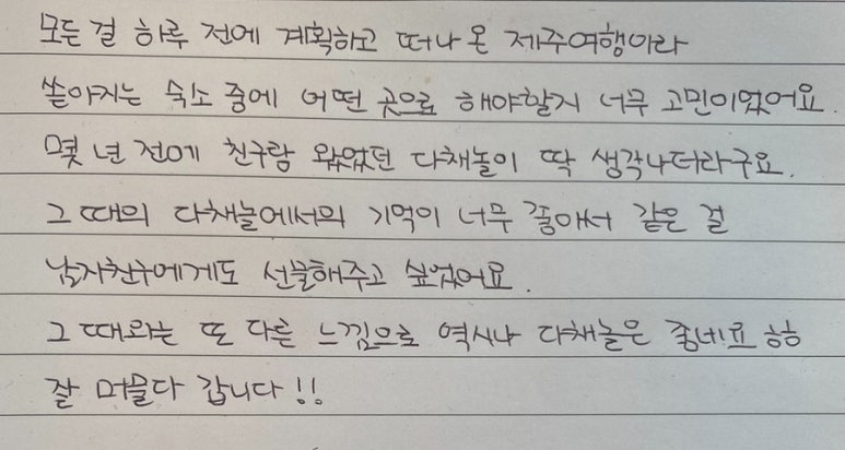 다채놀 이미지