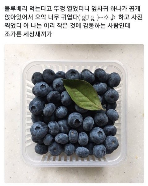 신상기획 이미지