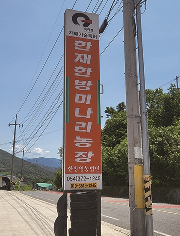 한재미나리영농조합법인 이미지