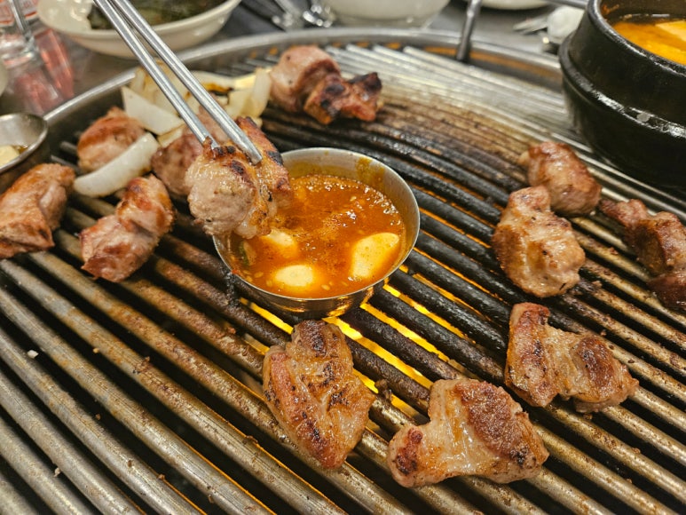 동백양과 이미지
