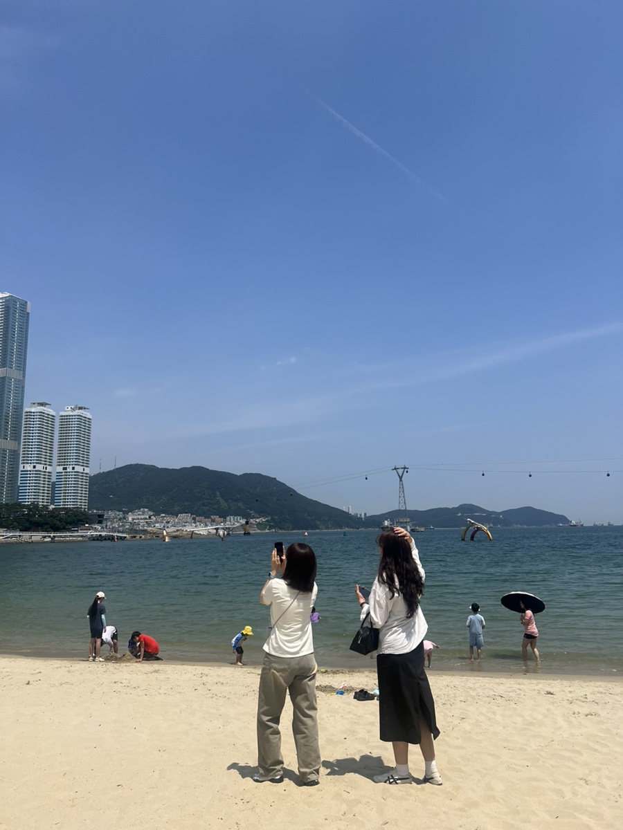 낭만조개 이미지
