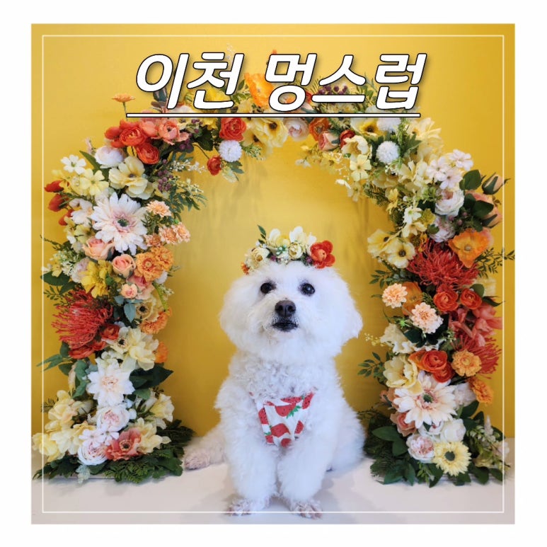 멍스럽 이미지