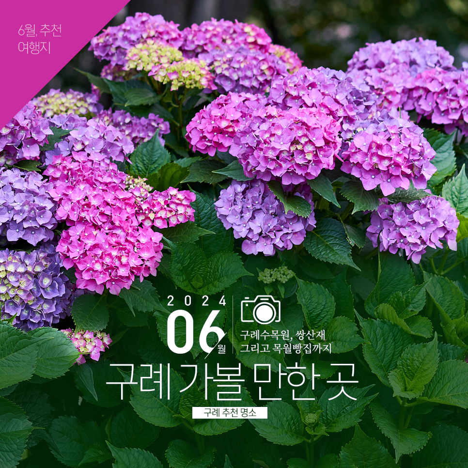 수락국수 이미지