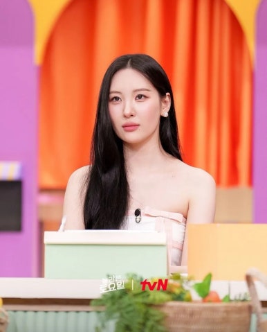 도레미씨앗 이미지