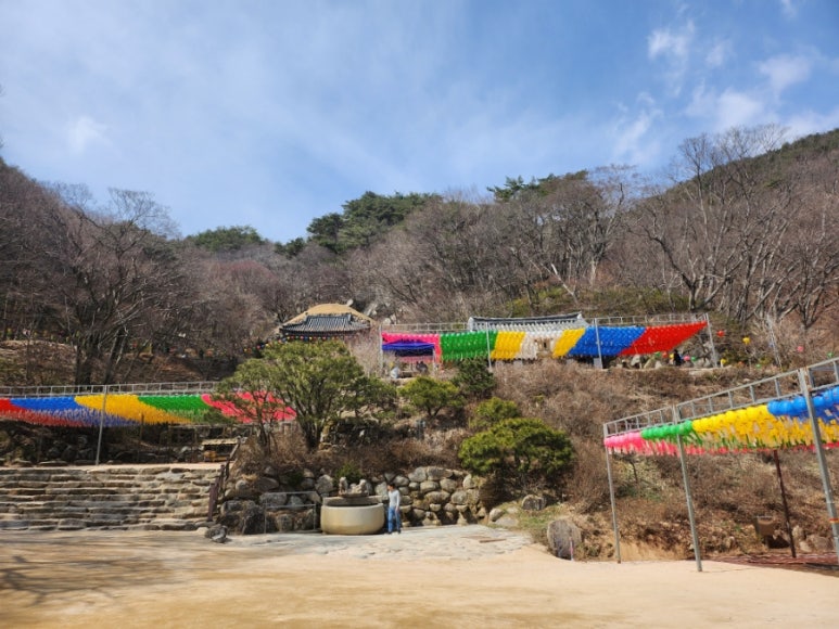 비비큐소노벨경주점 이미지