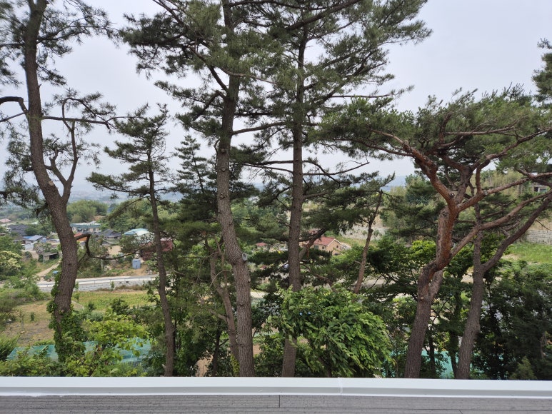 포레스트258/포레스트258펜션 이미지